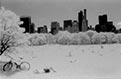 Infrared by Vallarie Enriquez NY